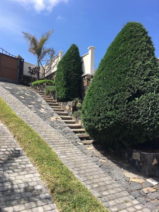 Casa Carolina Daire Los Llanos De Aridane Dış mekan fotoğraf